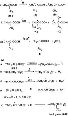 Gamma Radiation Processed Polymeric Materials for High Performance Applications: A Review